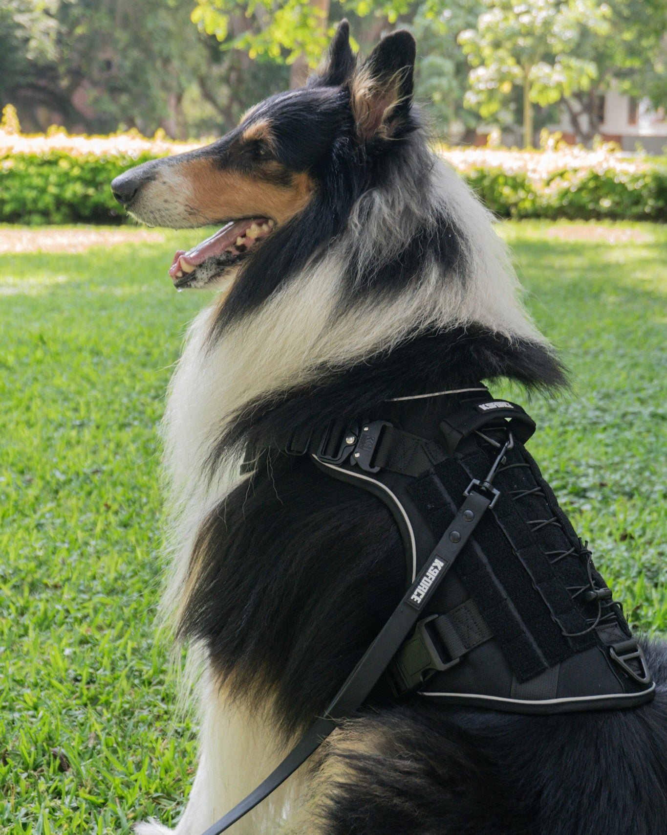 Tactical Harness