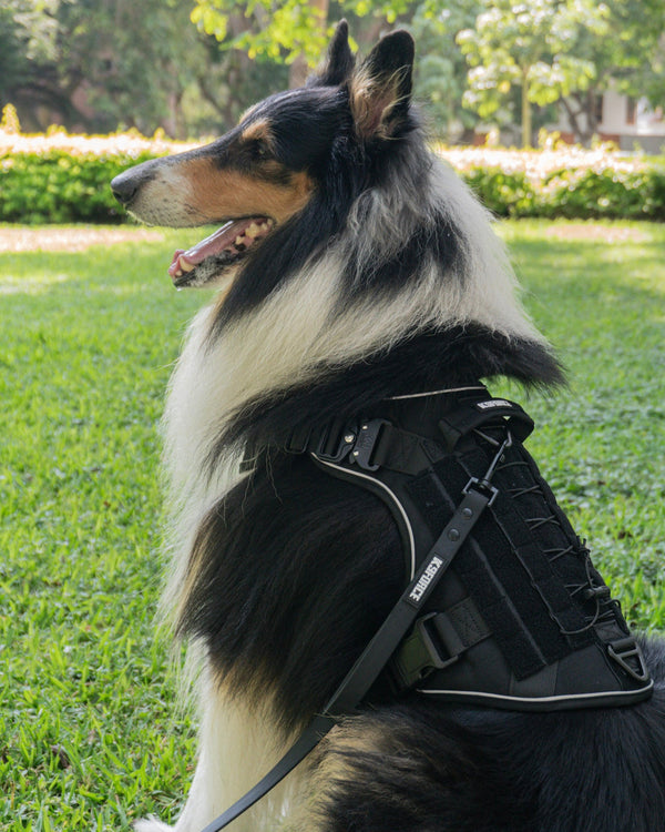 Tactical Harness
