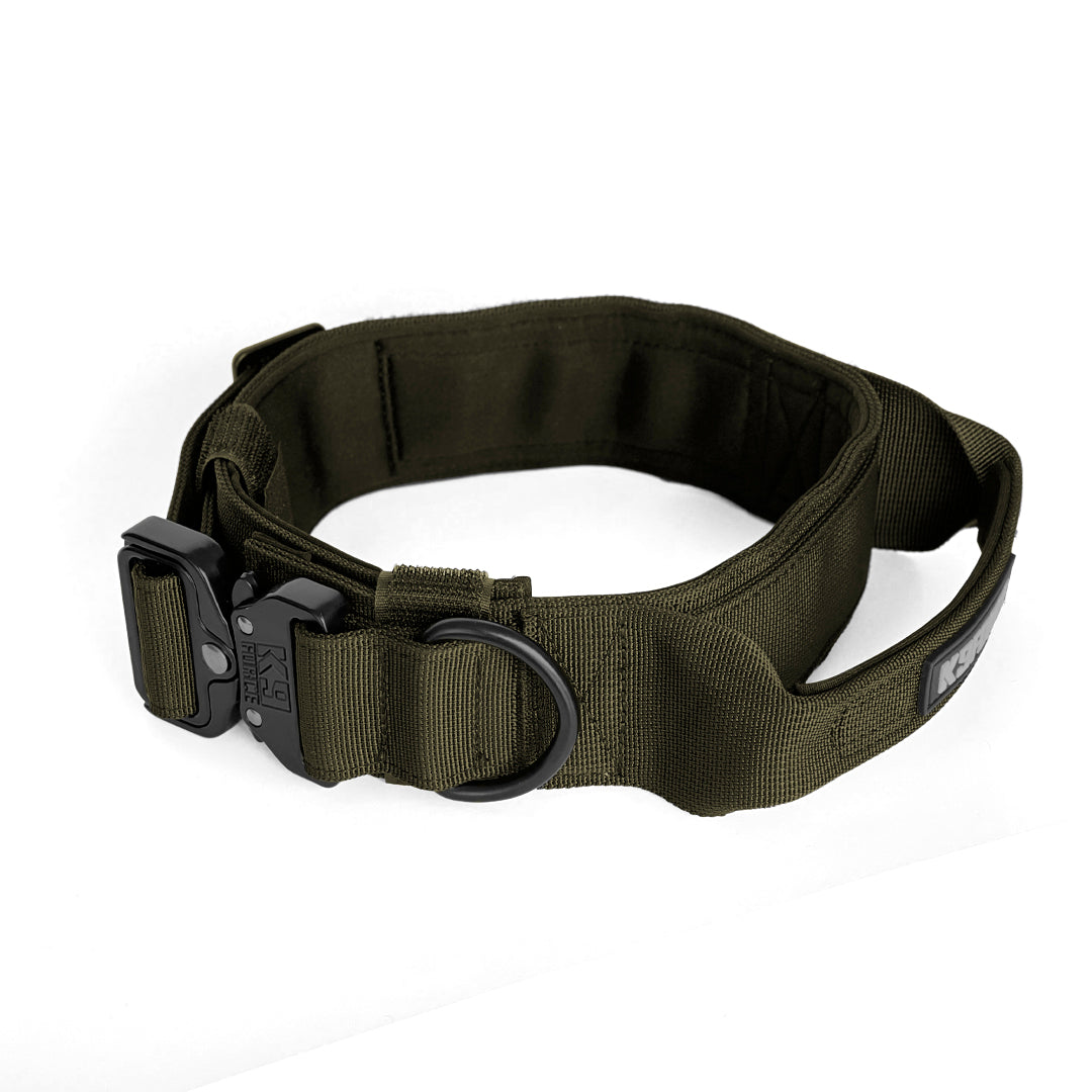 Urban Rebel Collar 5cm