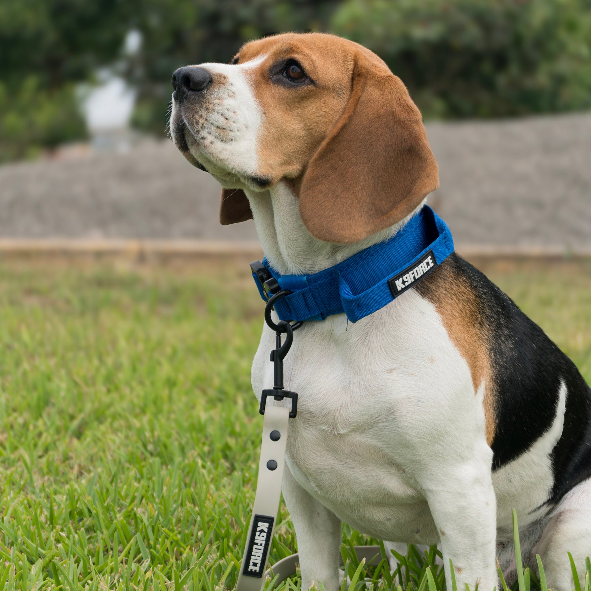 Urban Slim Collar