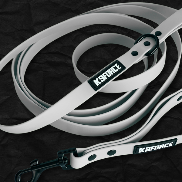 3m Biothane Leash Doble Asa
