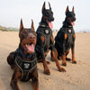 Tactical Harness