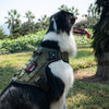 Tactical Harness