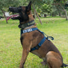 Working Harness