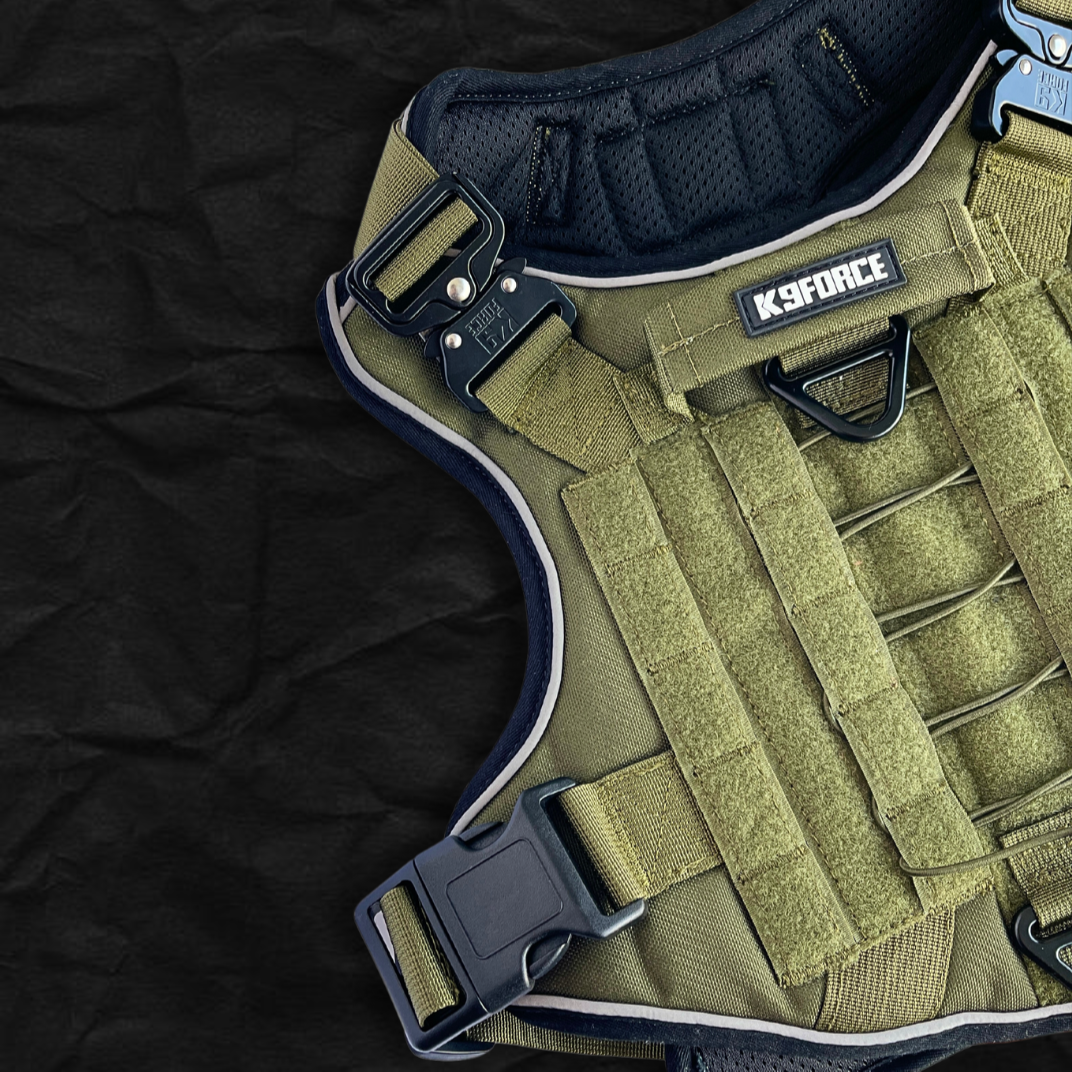 Tactical Harness
