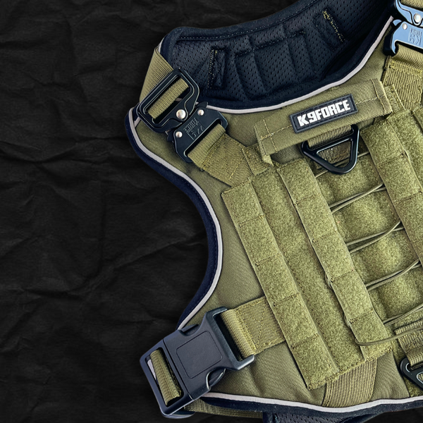 Tactical Harness