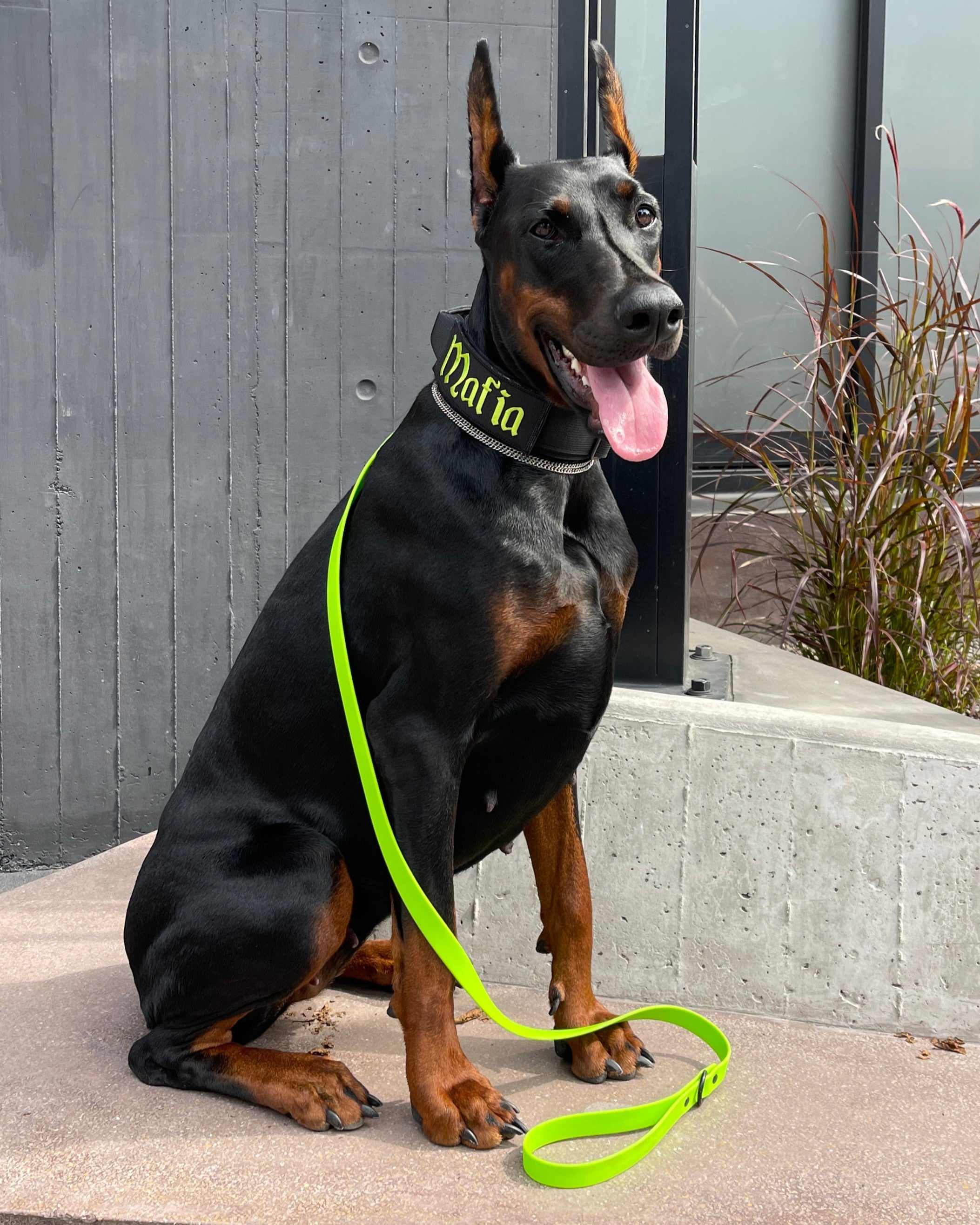 1.27m Biothane Leash