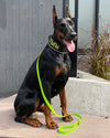 1.27m Biothane Leash