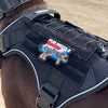Parche `Fur missile´