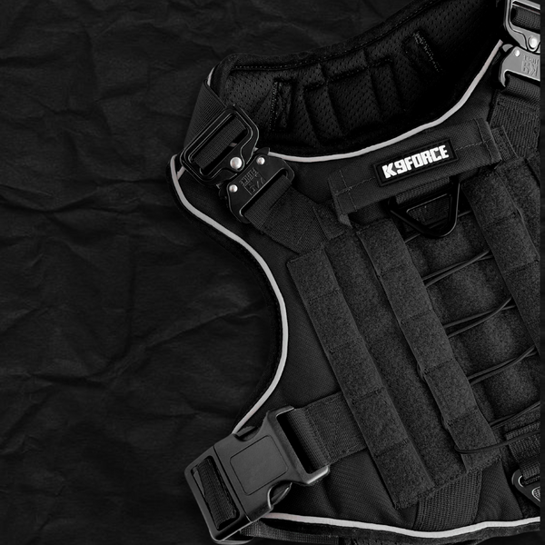 Tactical Harness