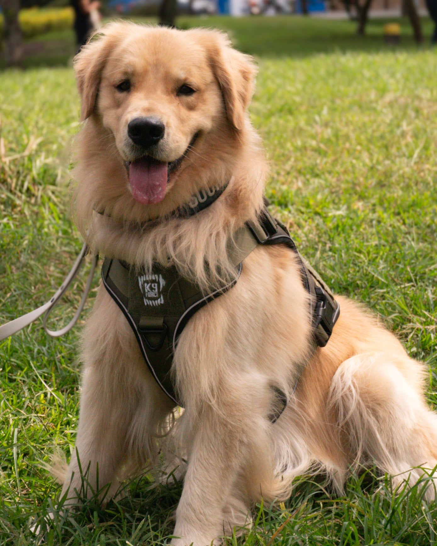 Tactical Harness