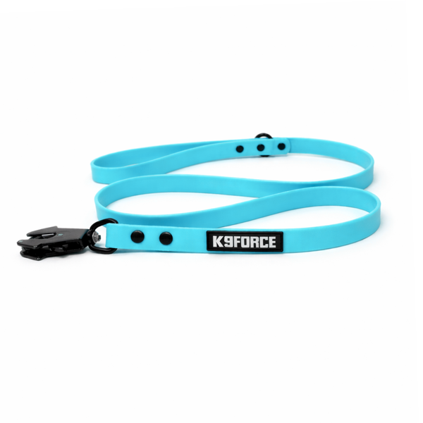 1.27m Light Blue Leash