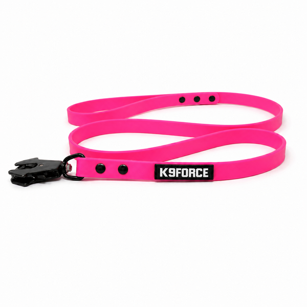 1.27m Neon Pink Leash
