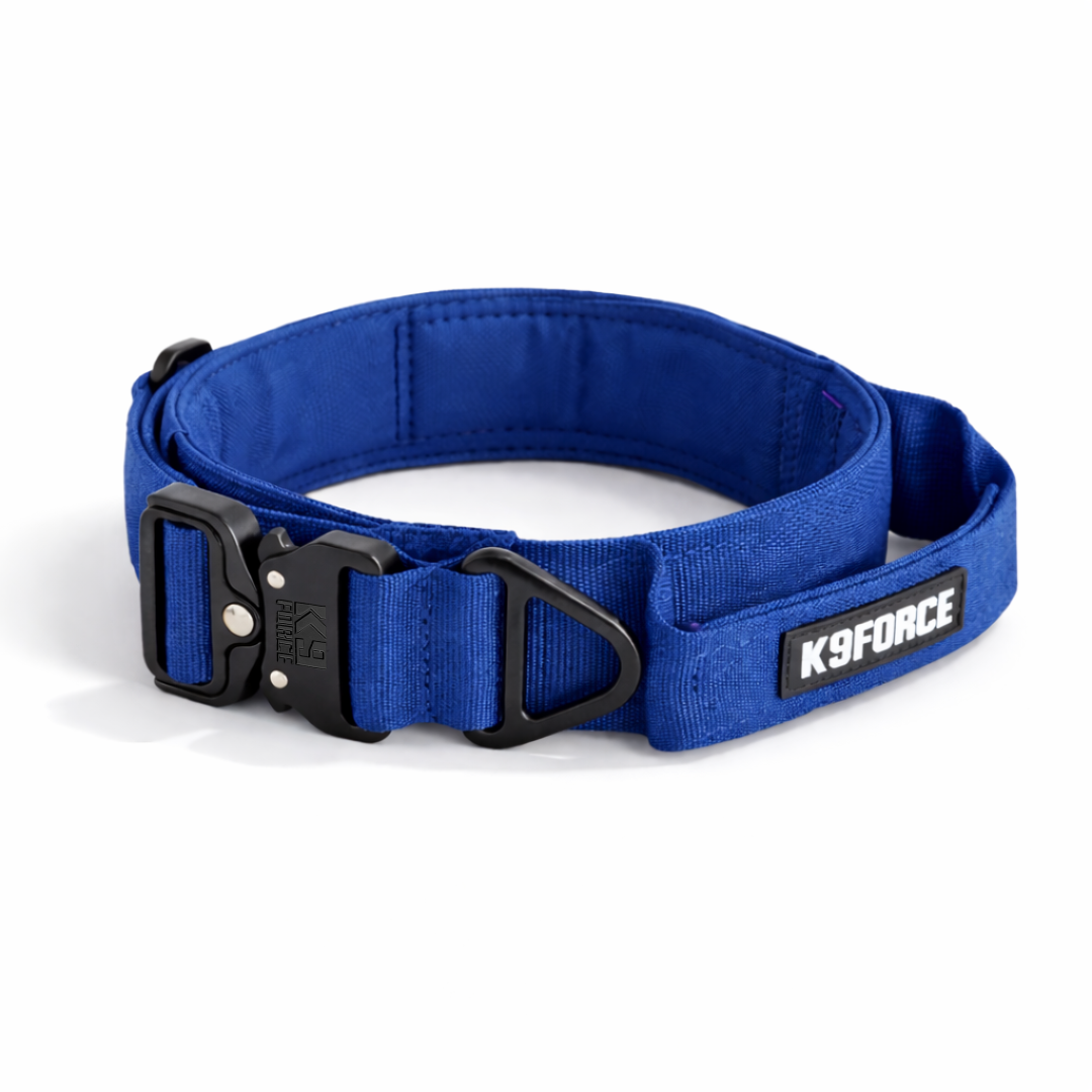 Aluminum Tactical Collar Green — APEX Series