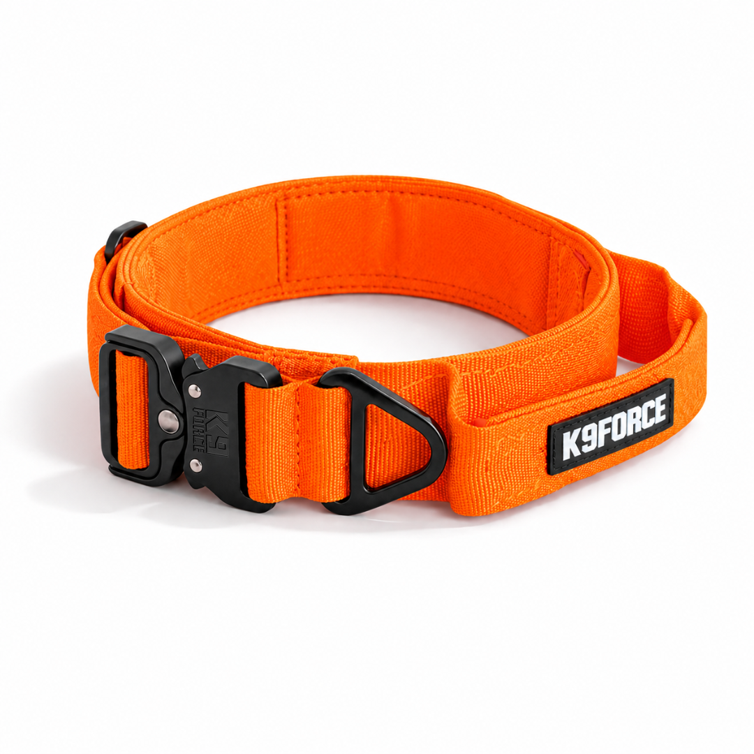 Aluminum Tactical Collar Green — APEX Series