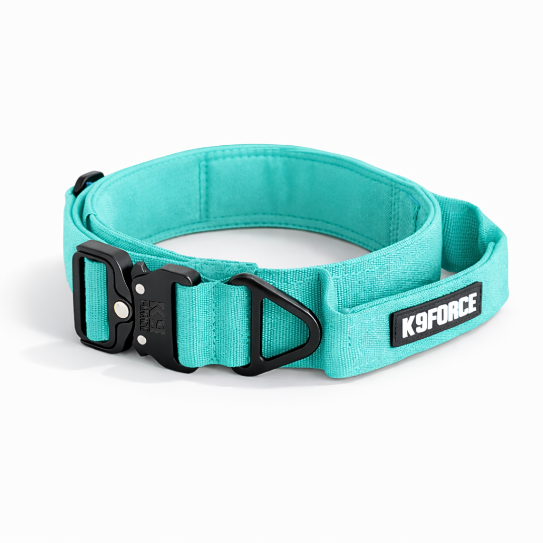 Aluminum Tactical Collar Green — APEX Series