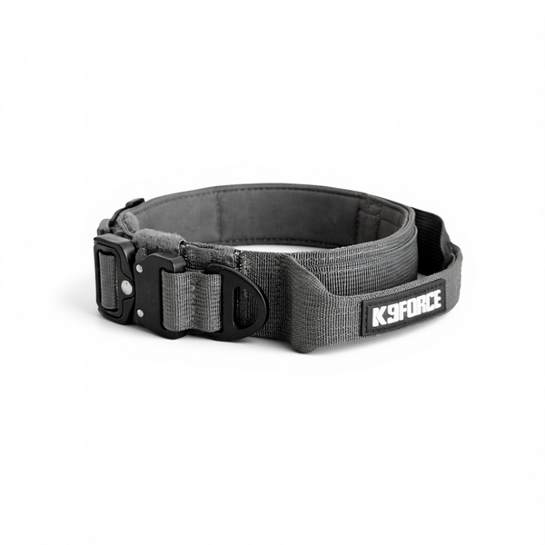 Urban Slim Collar Dark Grey