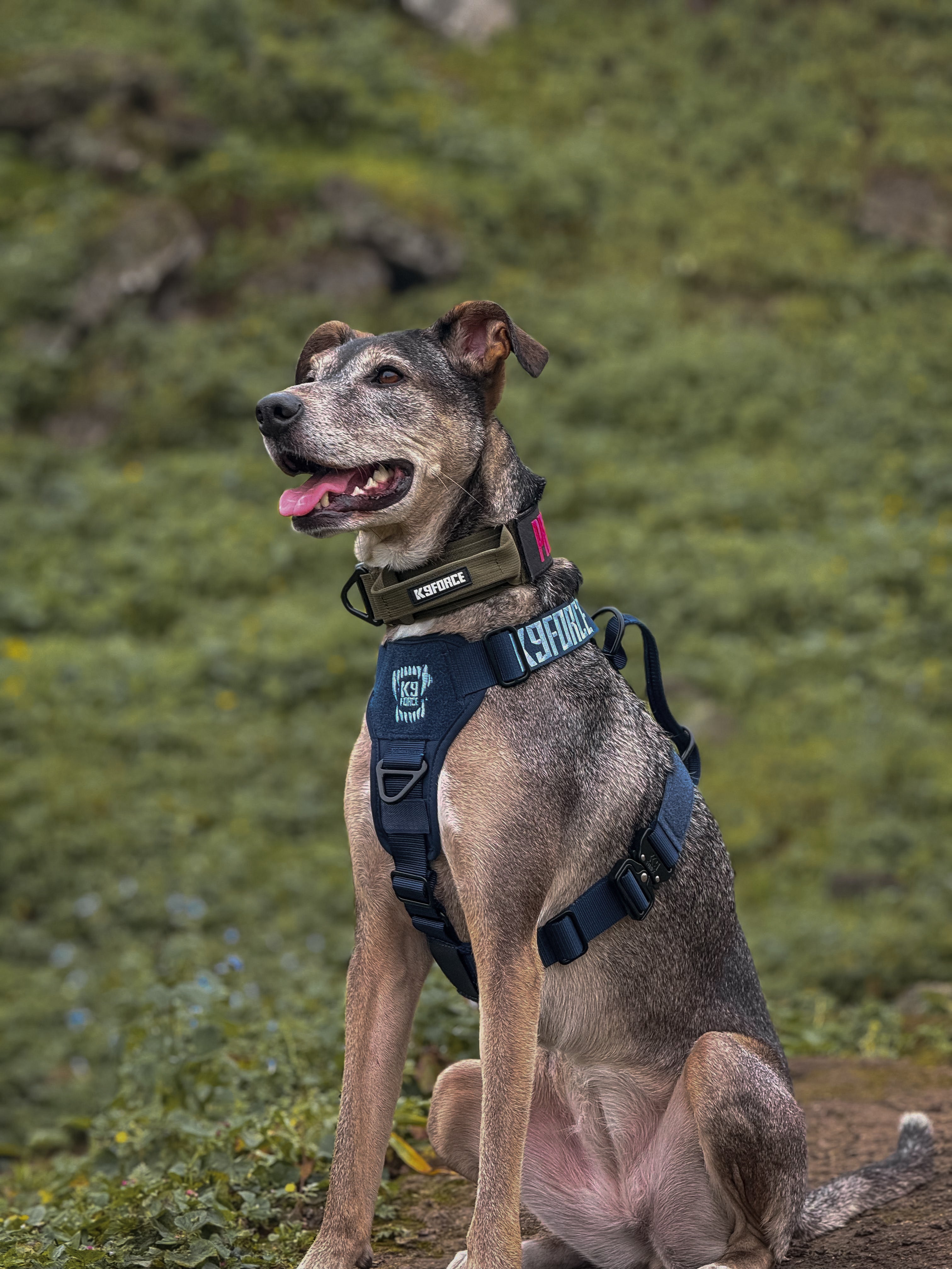 Working Harness
