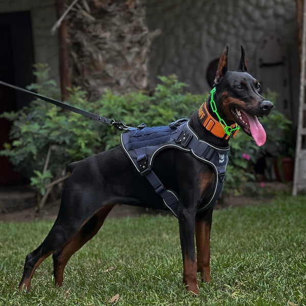 Aluminum Tactical Harness Navy  — APEX Series