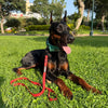 1.27m Black Leash