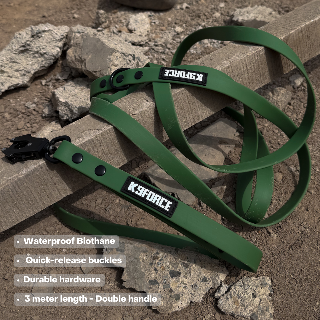 3m Double Handle Green Leash