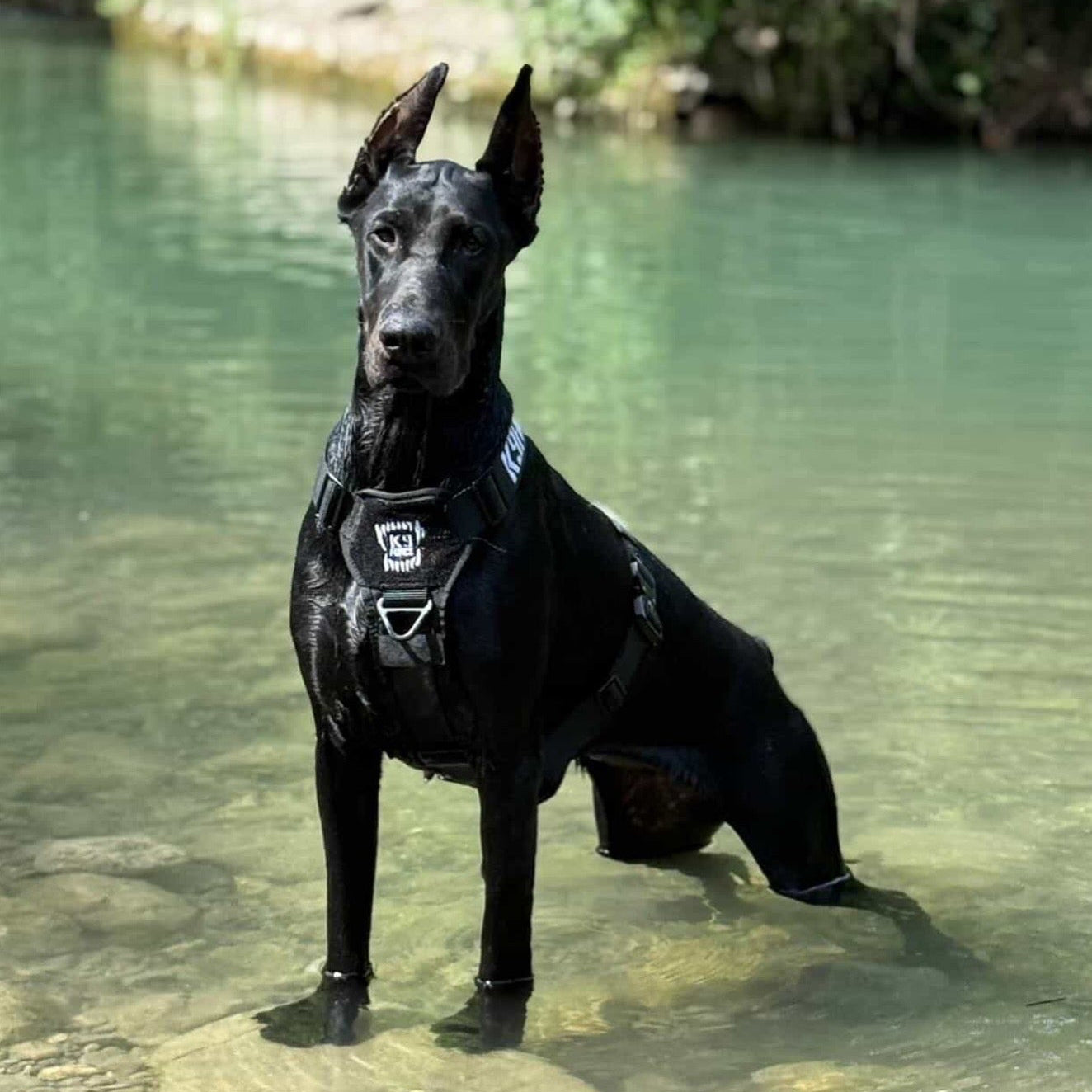 Aluminum Flex Harness Black  — APEX Series