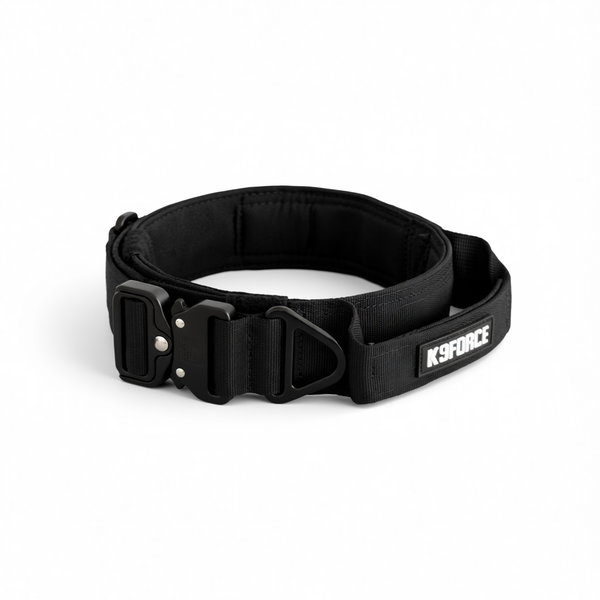 Urban Rebel Collar Black