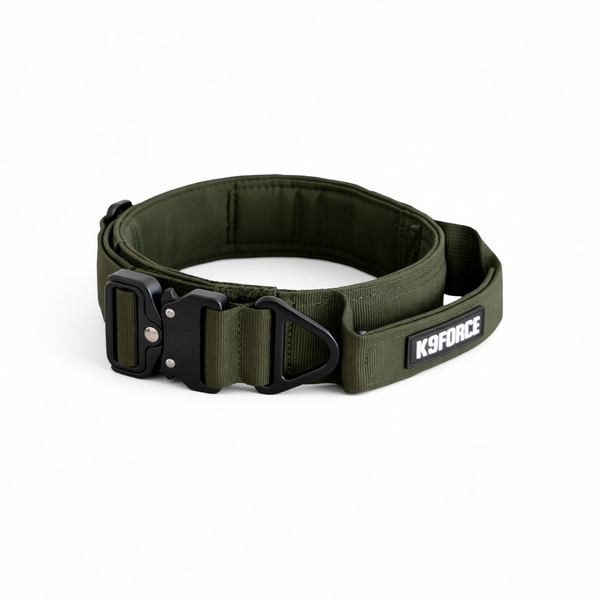 Urban Rebel Collar Dark Green