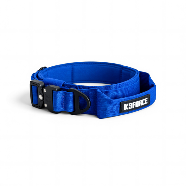 Urban Slim Collar Blue