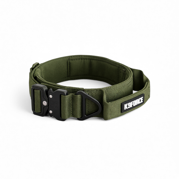 Urban Rebel Collar Olive Green