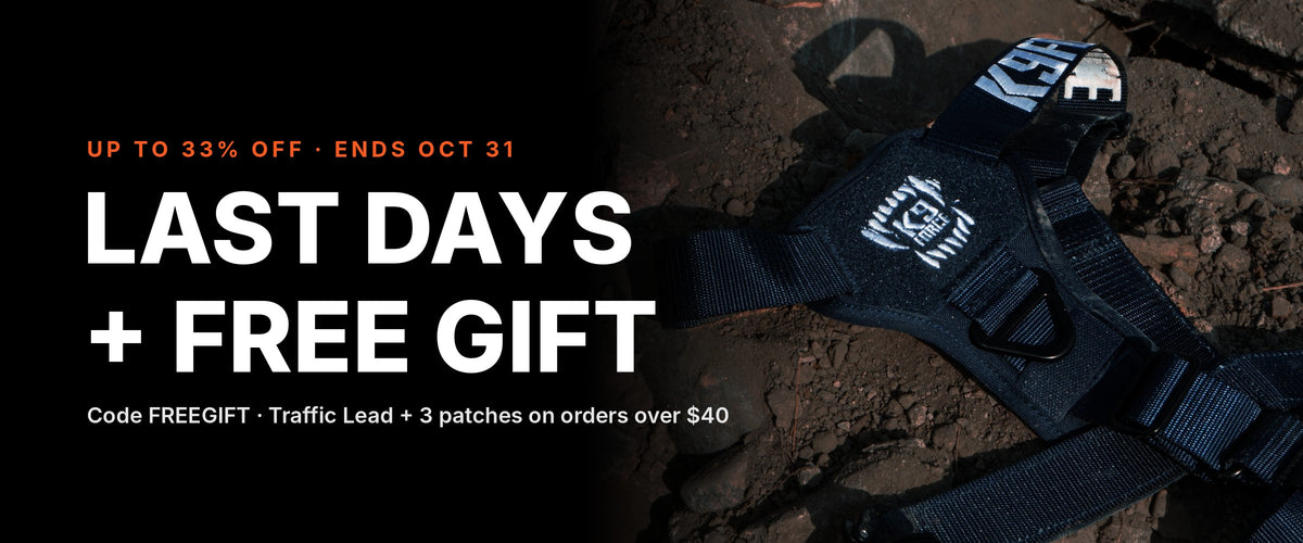 Last days: up to 33% off + free gift